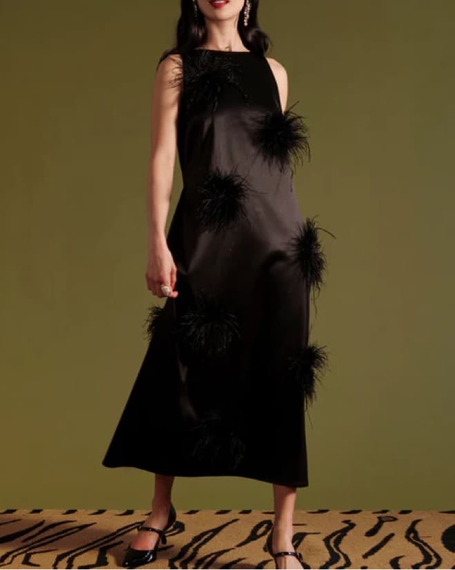 Francesca Feather Maxi Dress - Image 1