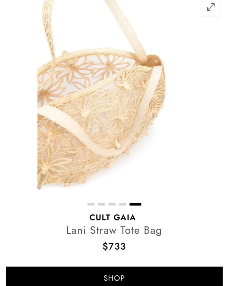 Cult Gaia Exquisite Lani Straw Tote Bag - Image 2
