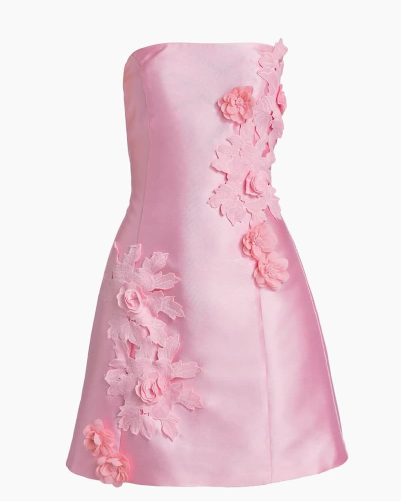 Elliatt Pink Floral Applique Minidress - Image 1