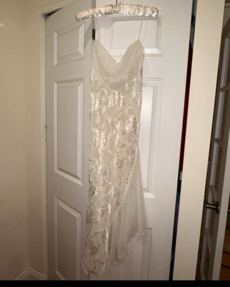 Rare VS Vintage Sheer Dress - Image 3