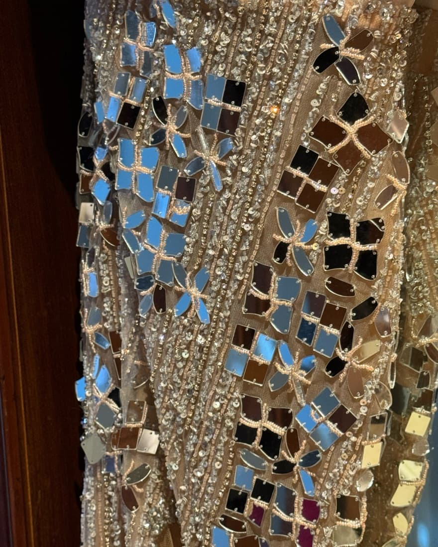 Tabja Mirror Feather Gown 😍 - Image 4
