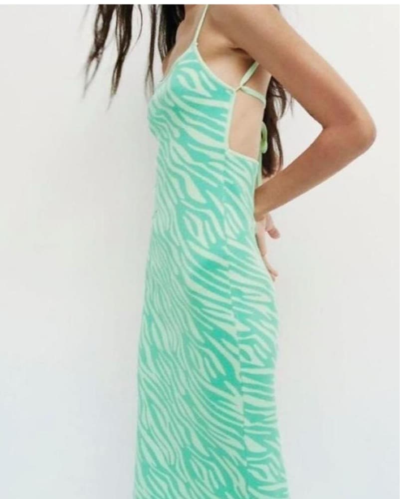 Mint Zebra Print Midi Dress - Image 1
