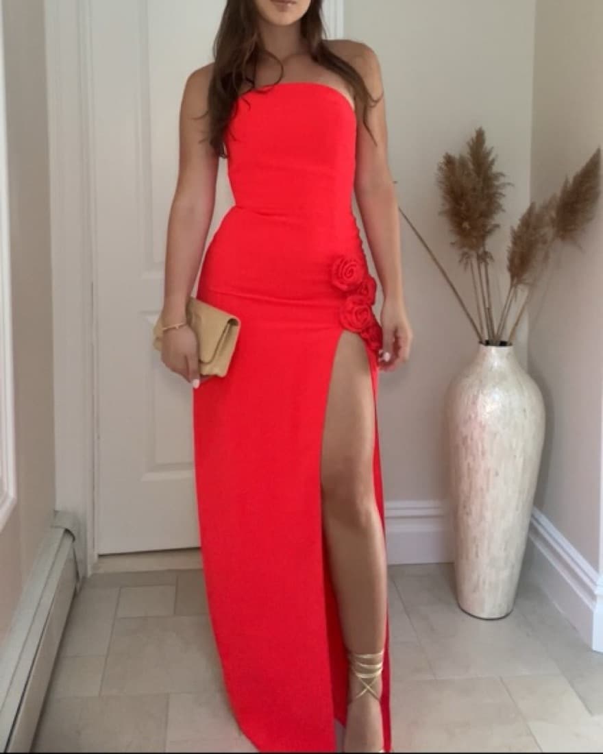 X Revolve Wolfe Gown - Image 4