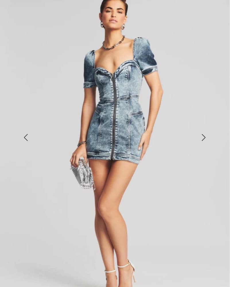 Retrofete Janie Denim Mini Dress - Image 1