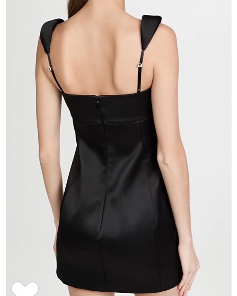 Alexander Wang Tuxedo Mini Dress - Image 3