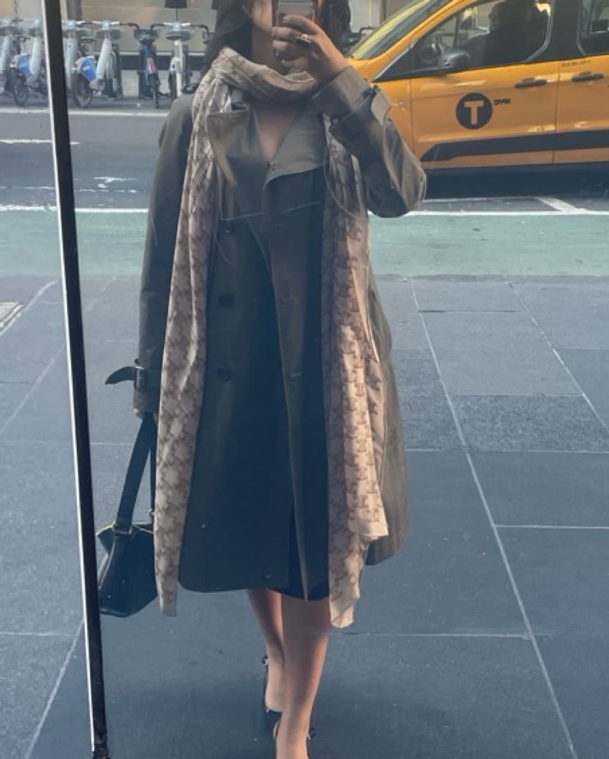 Celine Neutral Printed Spring Scarf - Image 2