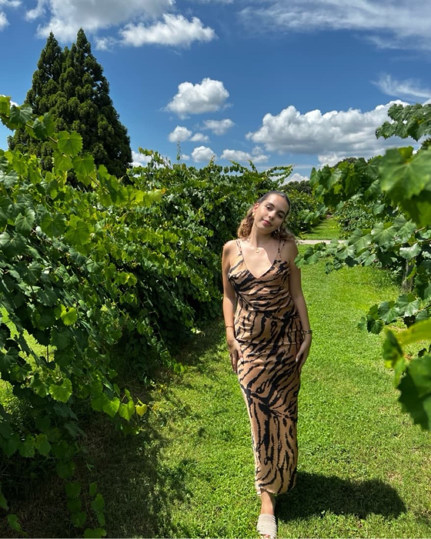 Zara Animal Print Dress - Image 1