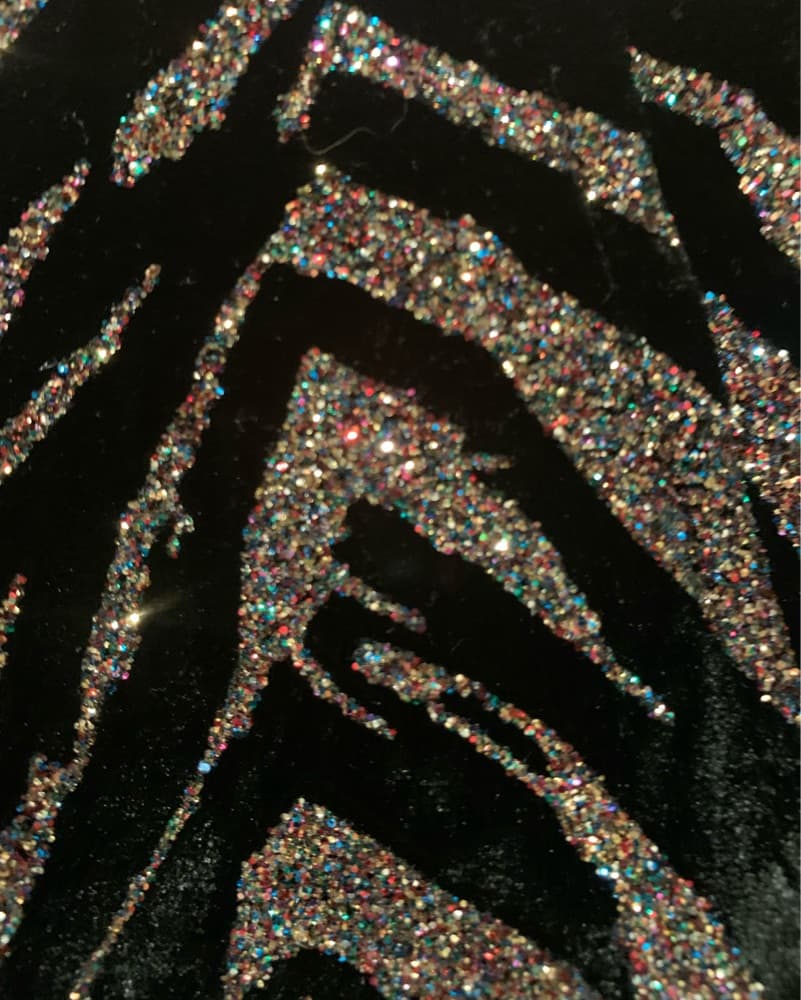 Zadig Rockstar Velvet  Sparkle Pants  - Image 3