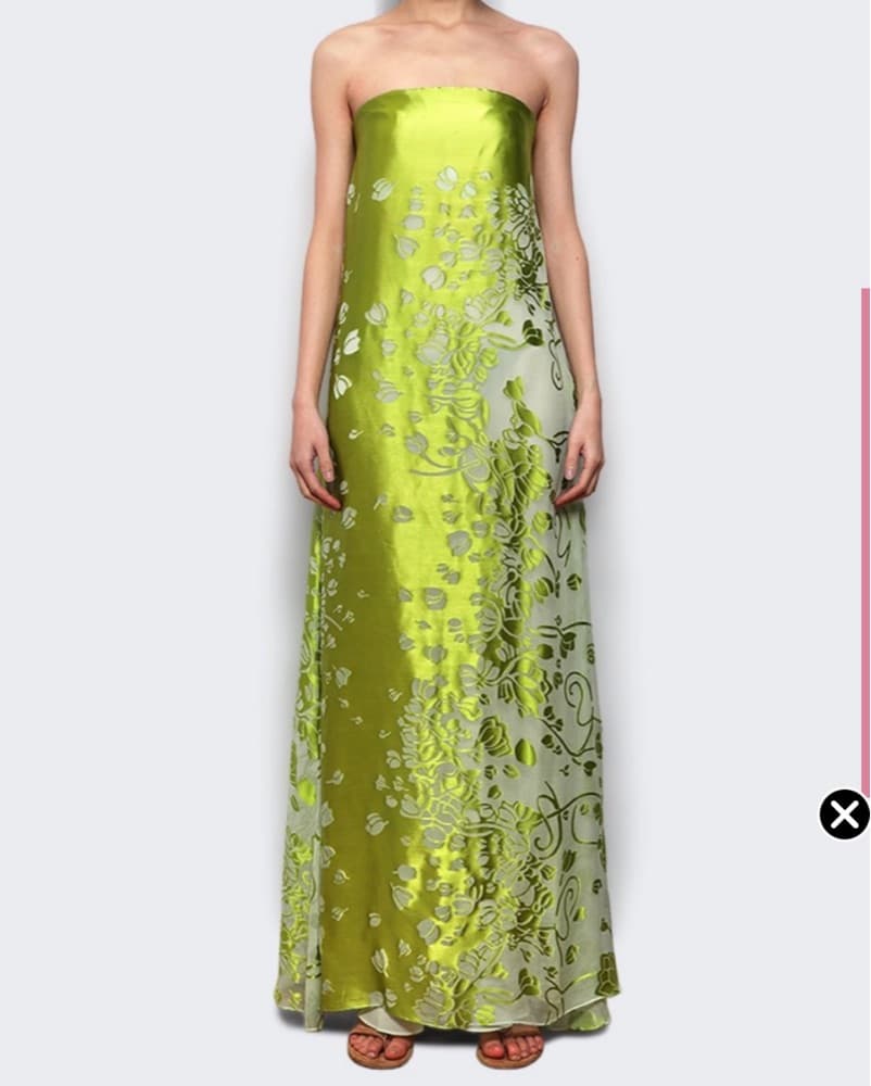CHRISTOPHER ESBER BURNOUT STRAPLESS DRES - Image 4
