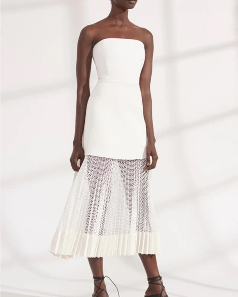 Dion Lee Net Pleat Strapless Dress.  - Image 1