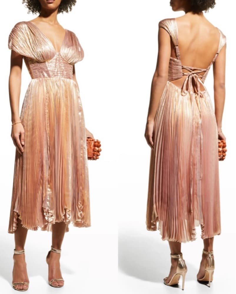 Gorgeous Maria Lucia Hohan Dress NWT - Image 1