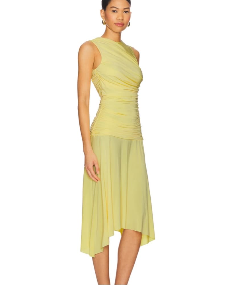 Siedres Nuina Dress - Image 3