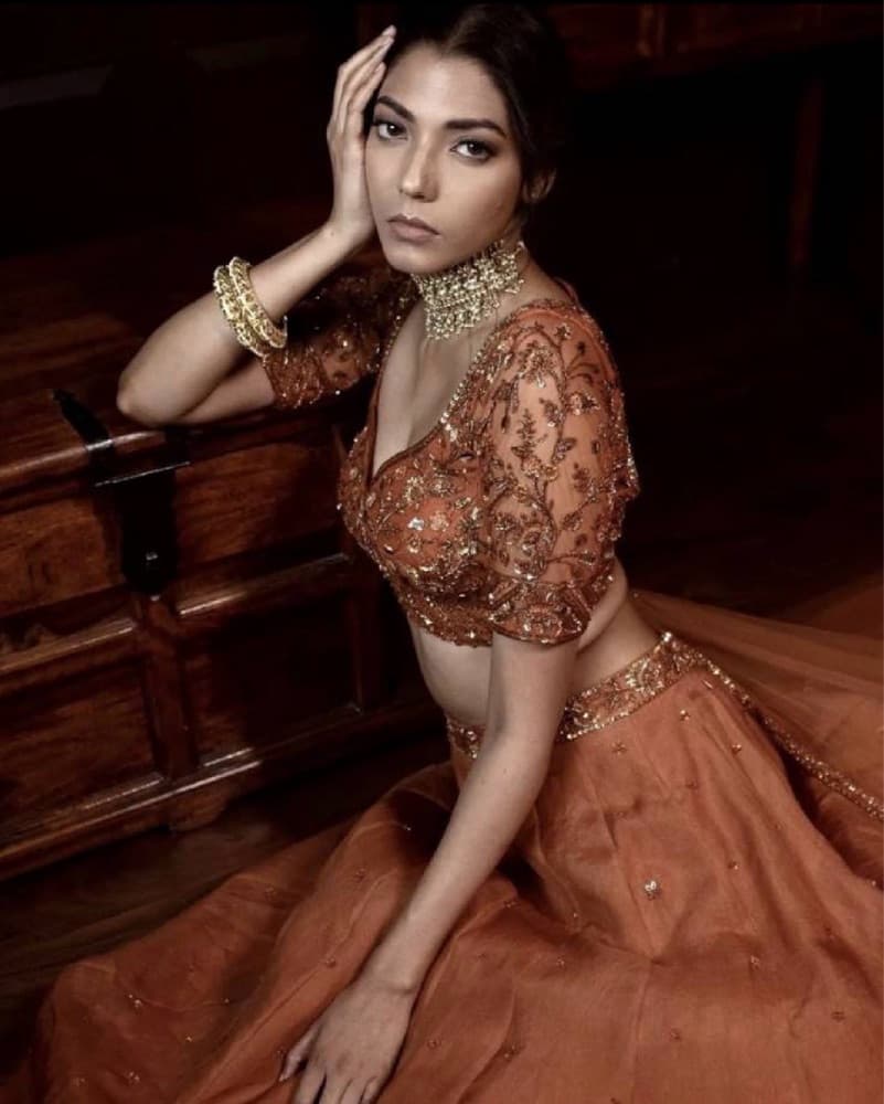 Parul Gandhi - Lengha - Image 2