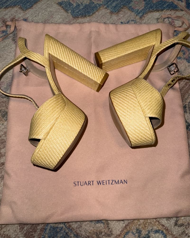 Stuart Weitzman Ryder 95 Platform Sandal - Image 1