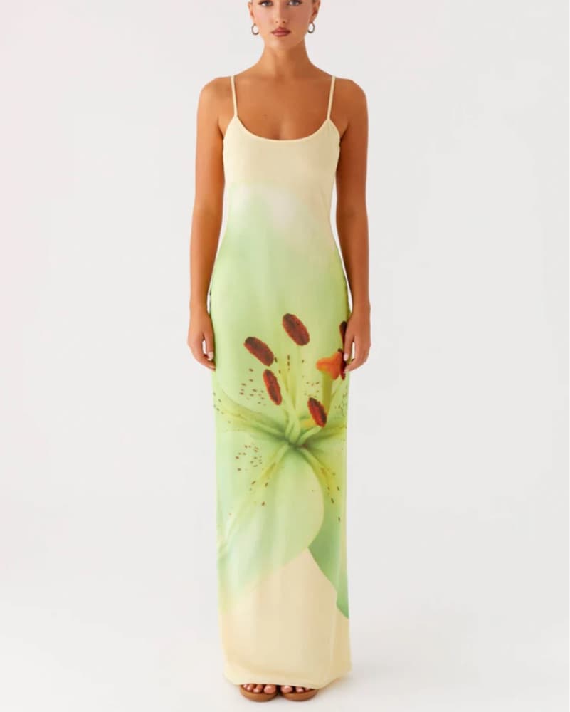 Peppermayo Mesh Maxi Dress - Image 1