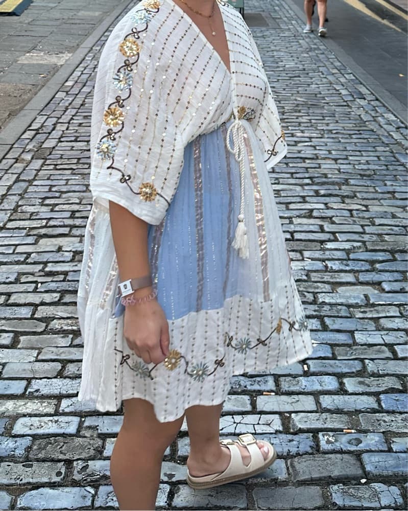 Sequin Embroidered Mini Dress - Image 3