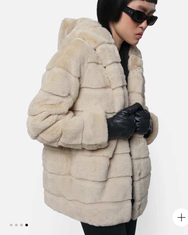 Apparis Goldy Coat - Image 1