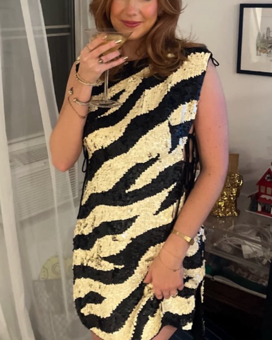 Wolf And Badger Sequin Zebra Dress - Image 3