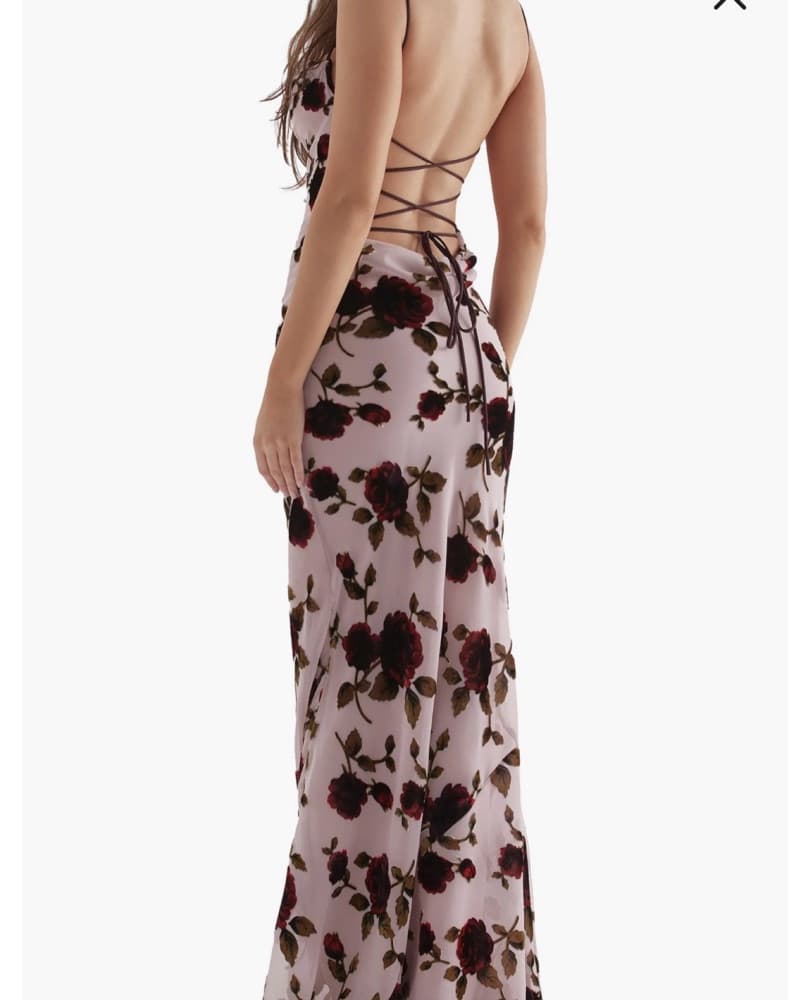 Serena Floral Velvet Burnout Maxi Dress - Image 2