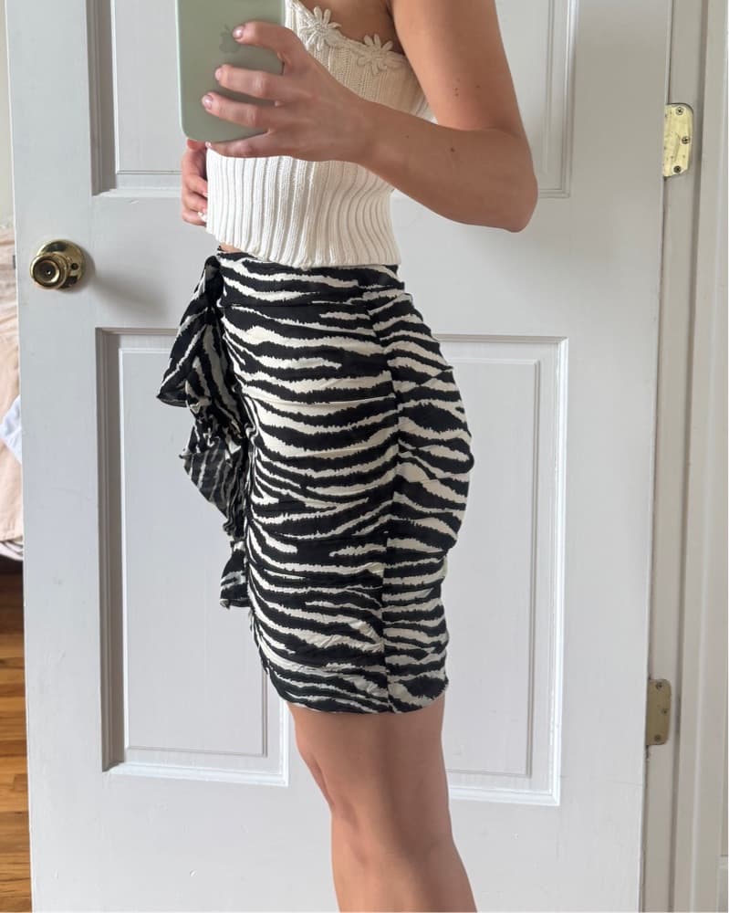Isabel Marant Etoile Zebra Stripe Skirt - Image 1