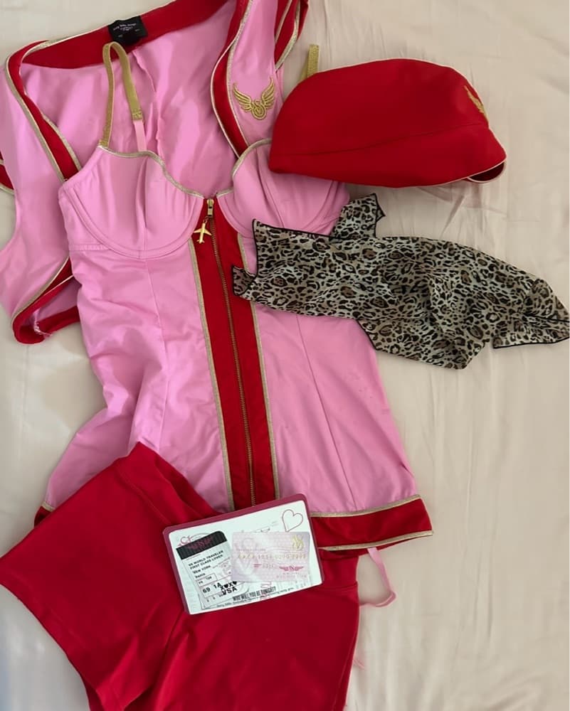 Victoria’s Secret Flight Attendant - Image 4