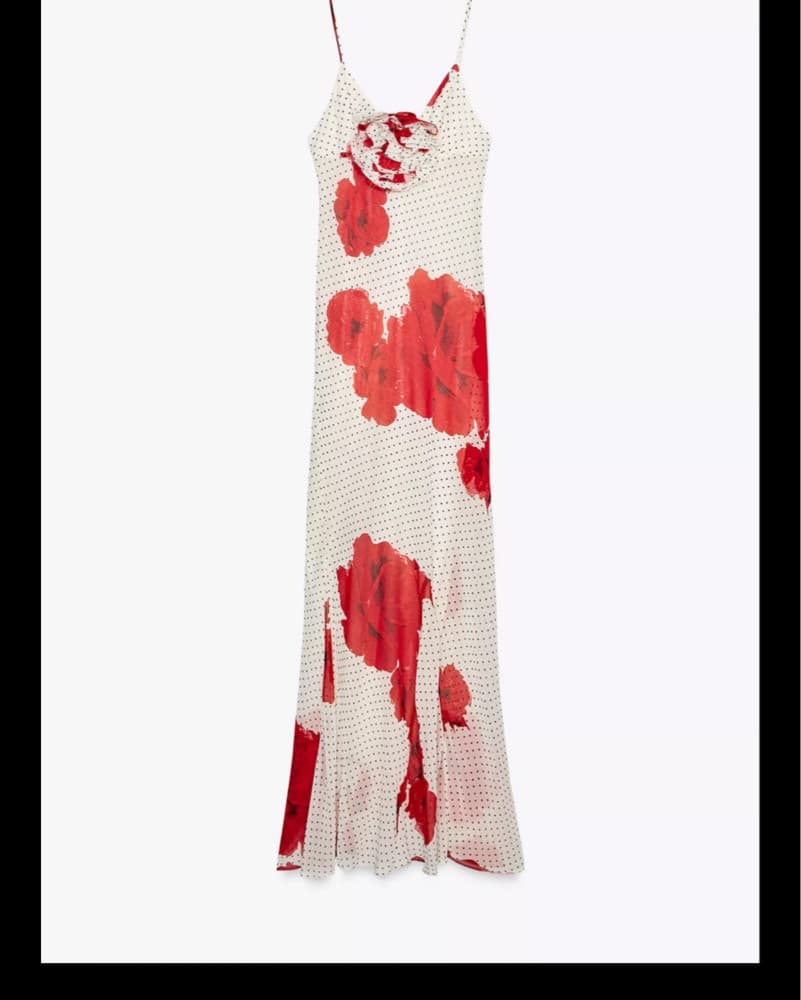 Zara Red Floral Maxi - Image 1