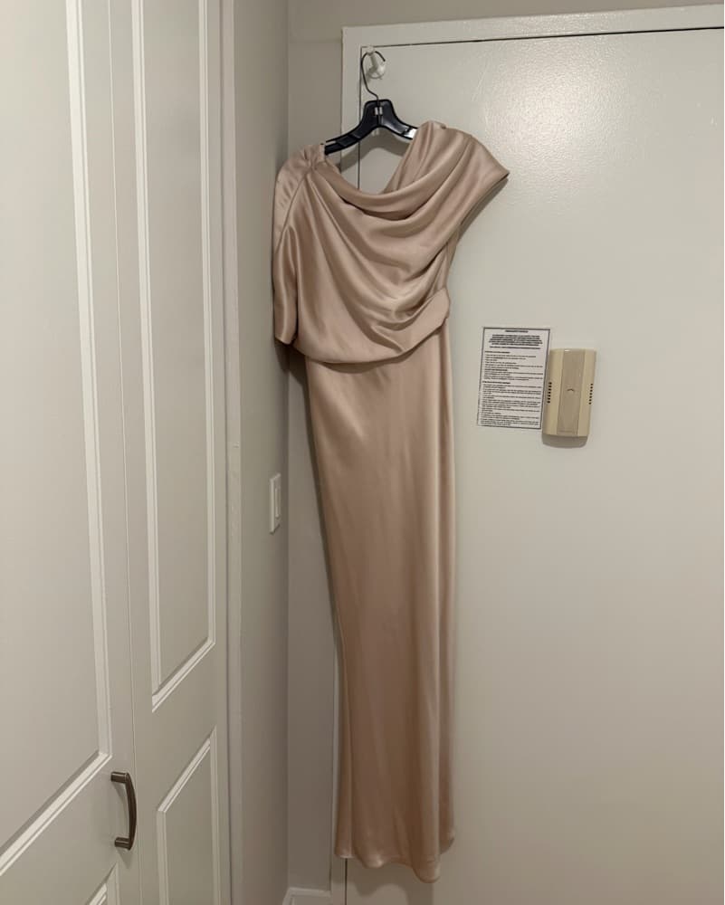 Amsale Champagne Satin Gown - Image 1