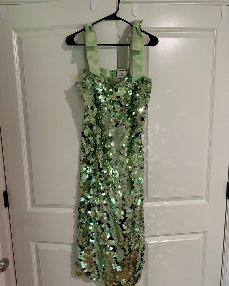 Tuckernuck Mint Chip Sequin Roxy Dress - Image 2