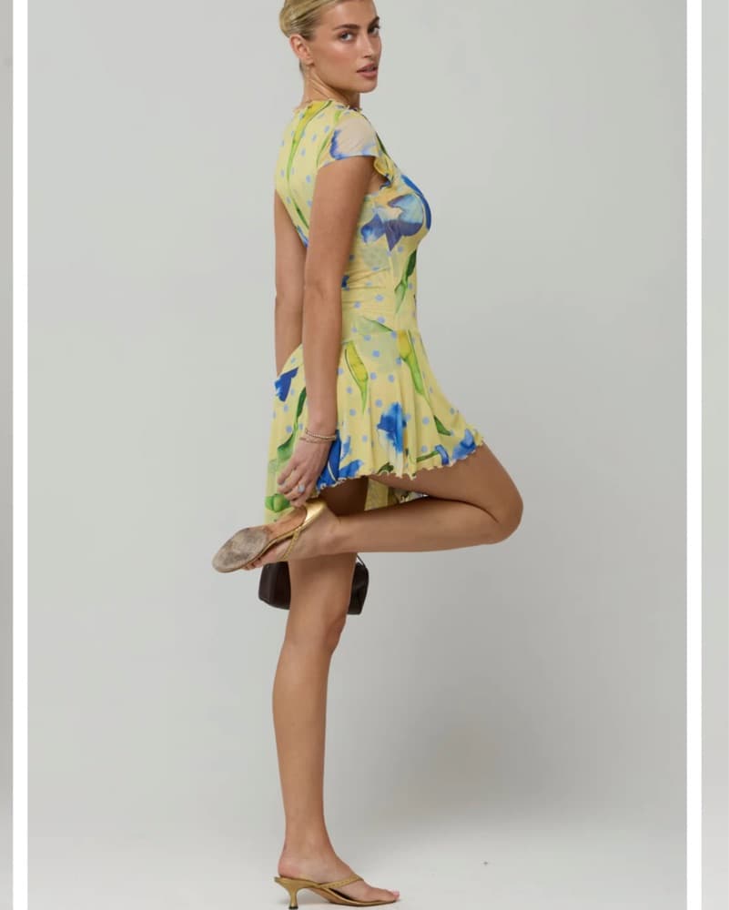 Resa Cece Dress In Solei - Image 3