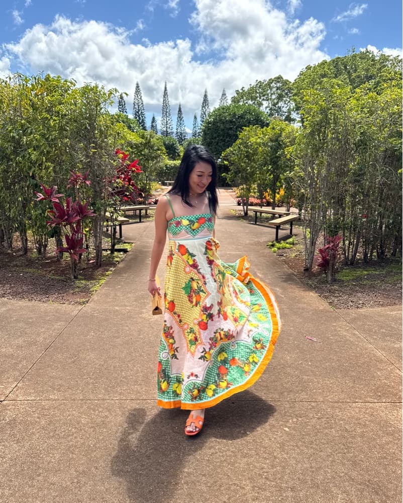 Alemais Lemonis Linen Maxi Dress - Image 1