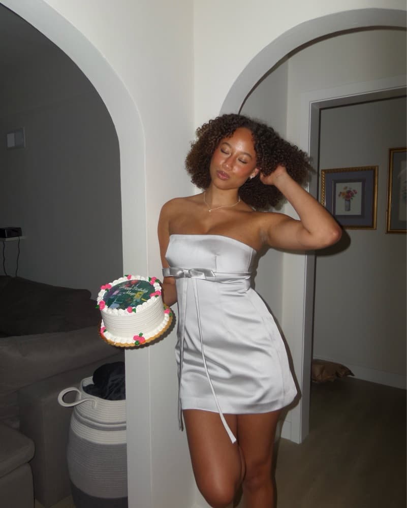 Zara Silver Dress - Image 3