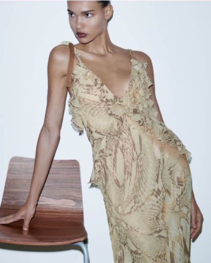 Zara Snake Print Long Flowy Dress  - Image 4