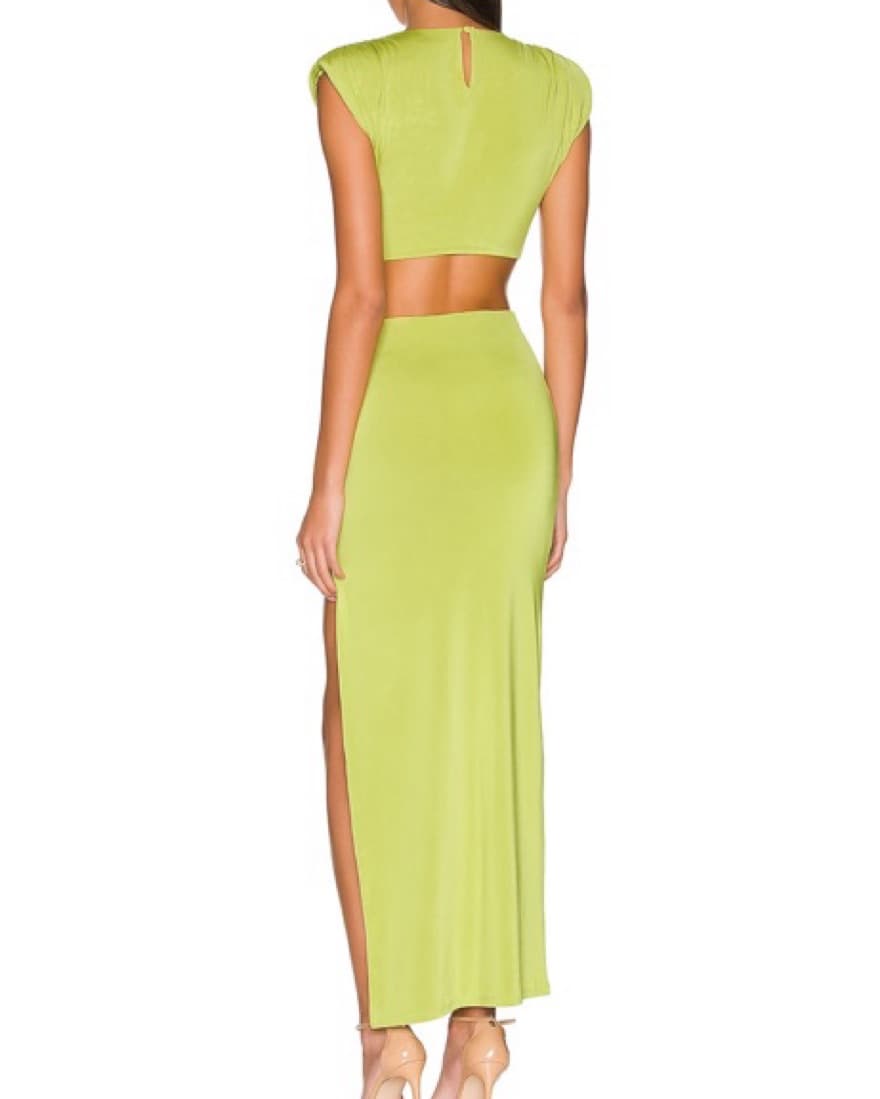 Encore Dress (Revolve)  - Image 3