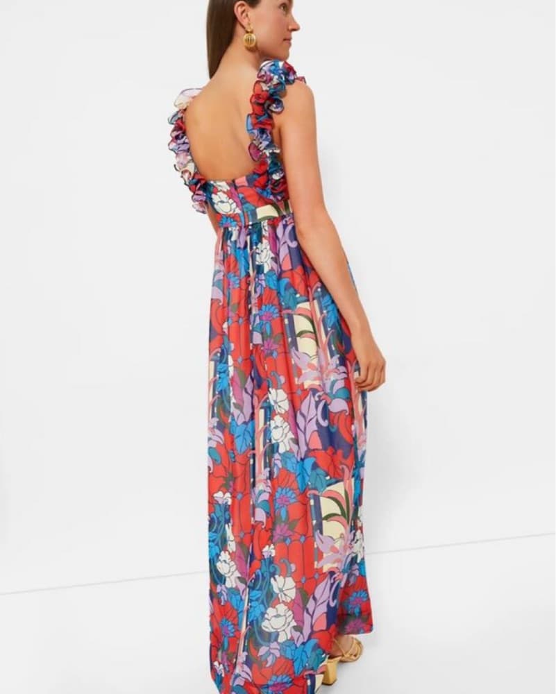 Tuckernuck Red And Blue Print Dress  - Image 2
