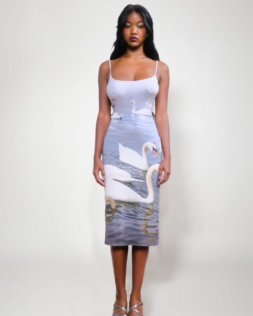 Tyler McGillivary Swan Dress - Image 1