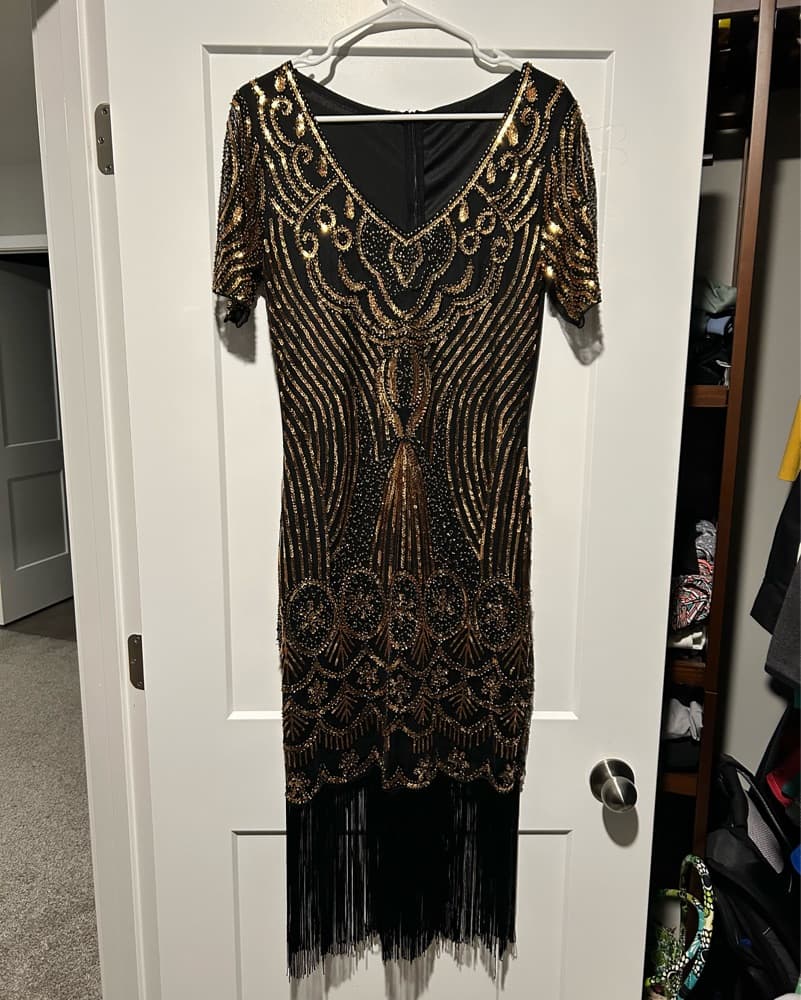 Flapper Sequin Fringe Dress - Image 1