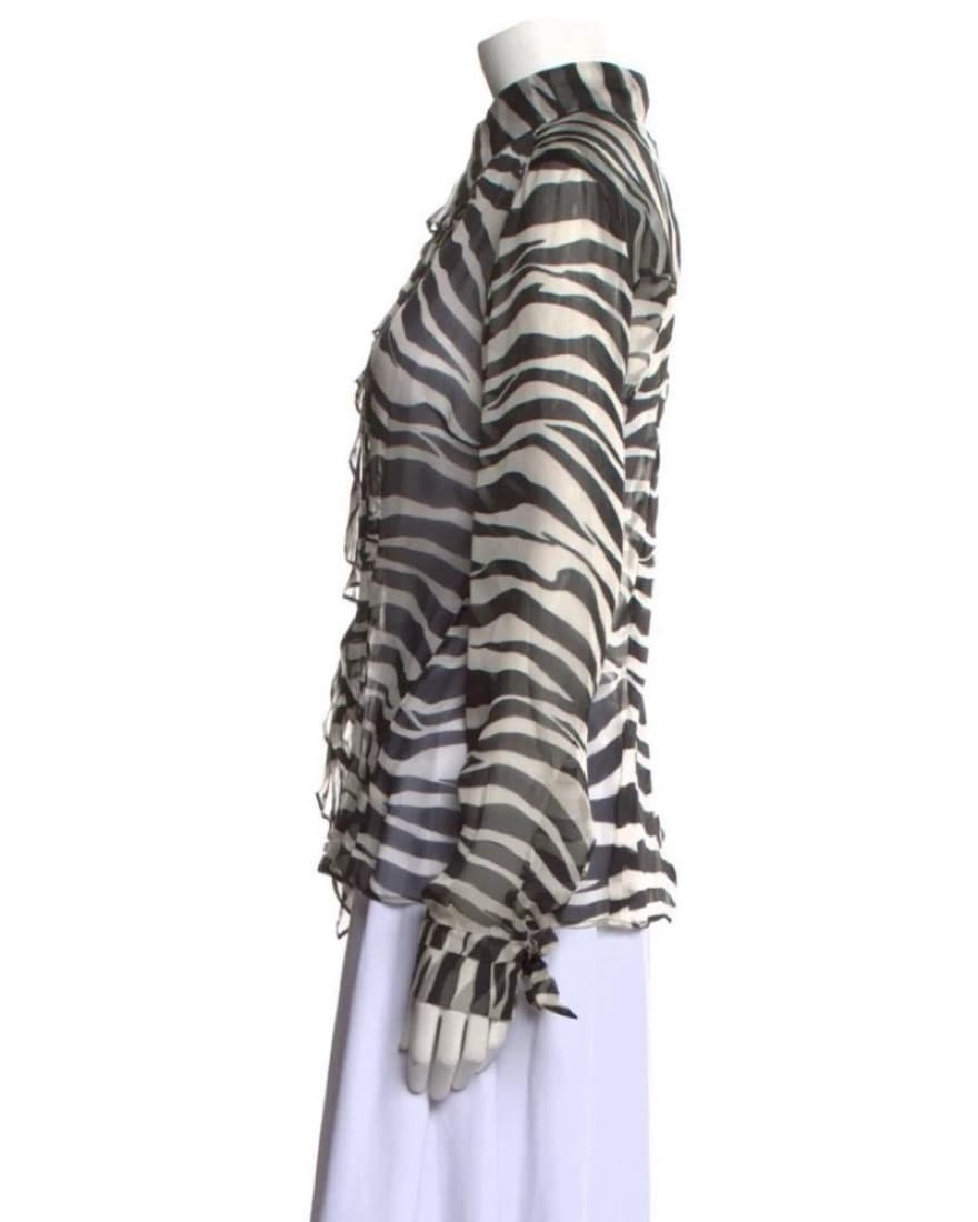 Vintage Dolce & Gabbana Zebra Sheer Top - Image 2