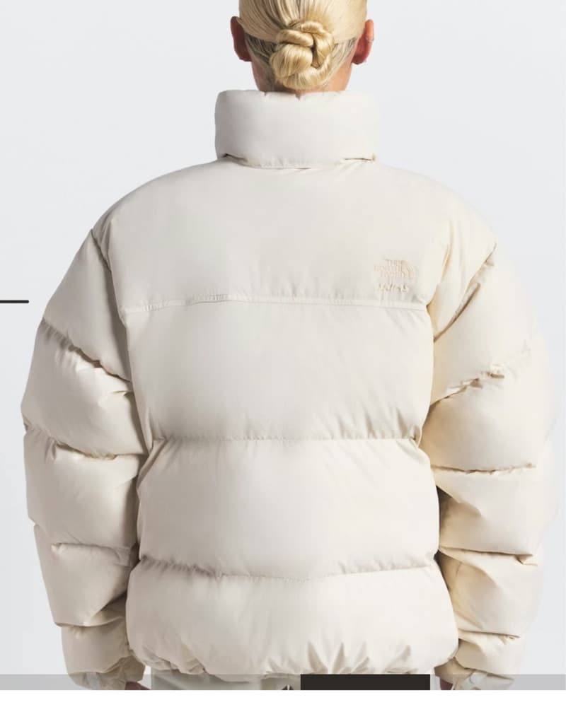 North Face X Skims 1996 NUPTSE JACKET - Image 4