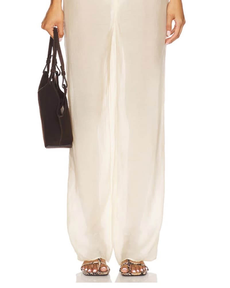 Sheer Pants - Image 5