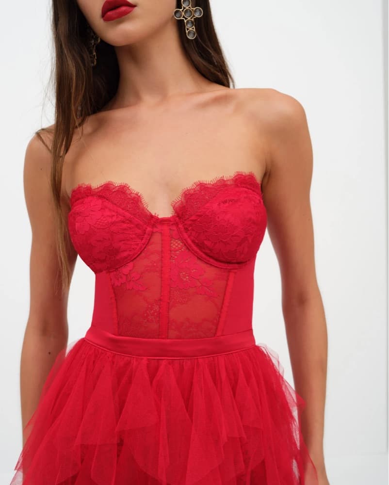 For Love & Lemons Bustier Gown - Image 5