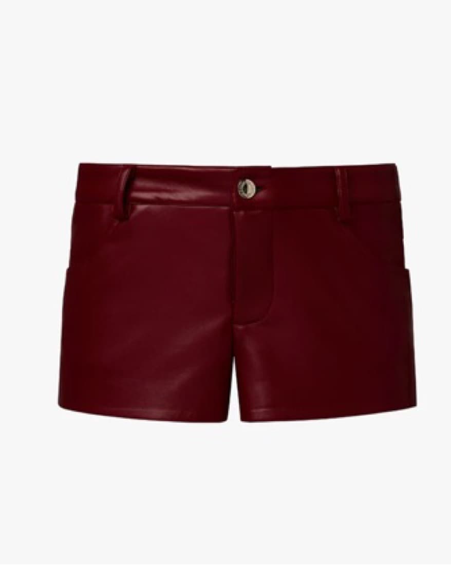 WeWoreWhat Hot Shorts   - Image 4
