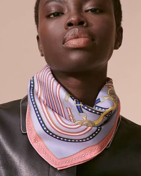 Hermes Grand Tralala Scarf - Image 2