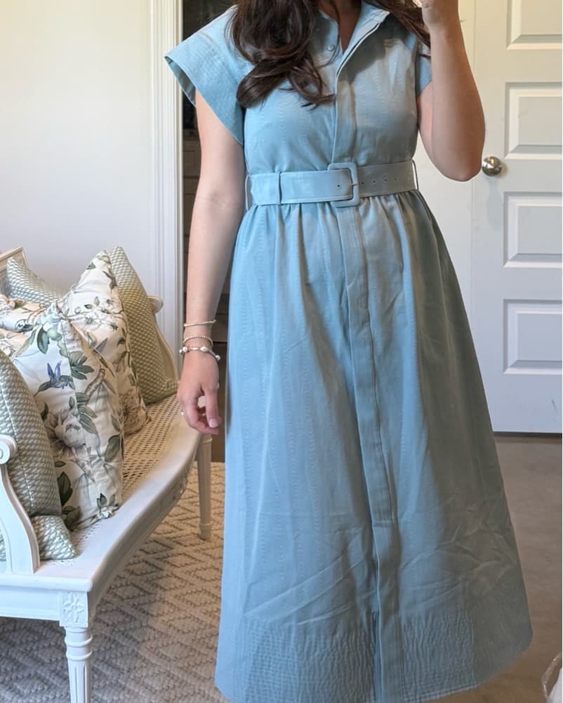 Tuckernuck Chloe dress - blue - Image 2