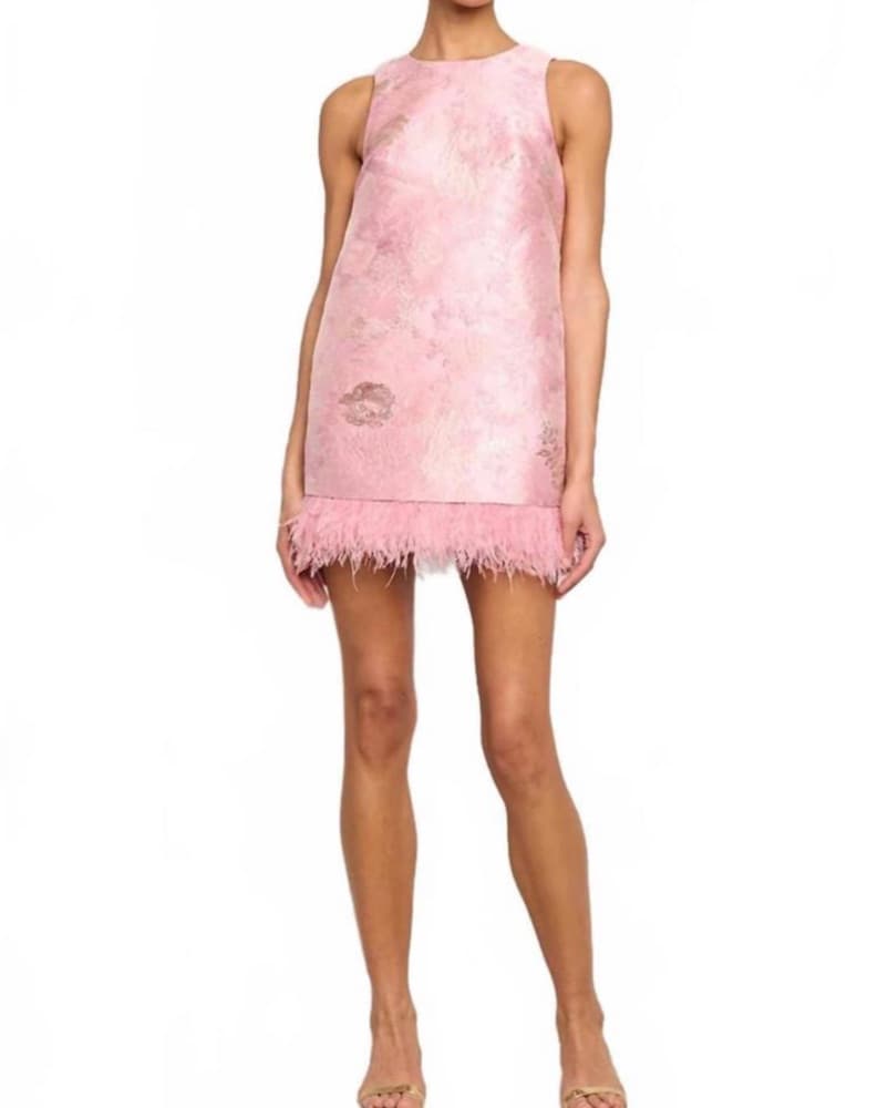 Cara Cara Feather Pink Mini Dress - Image 2