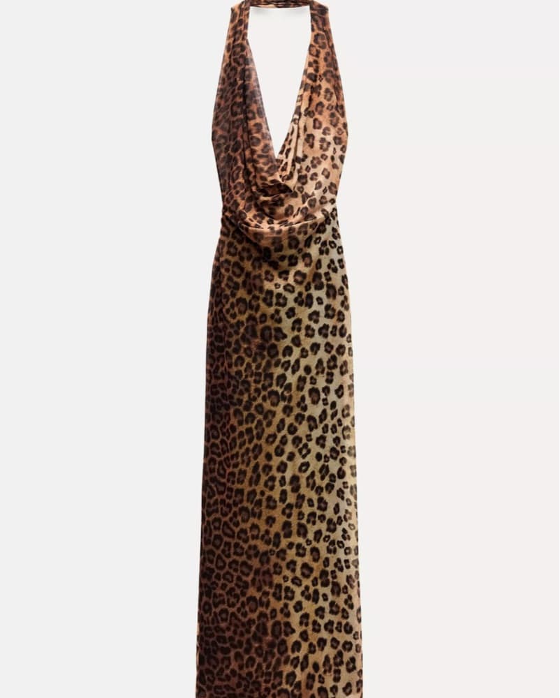 Animal Print Maxi Dress - Image 4