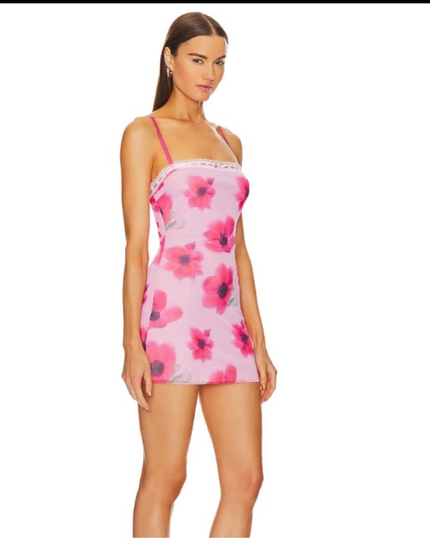 Danielle Guizio Mini Dress - Image 2