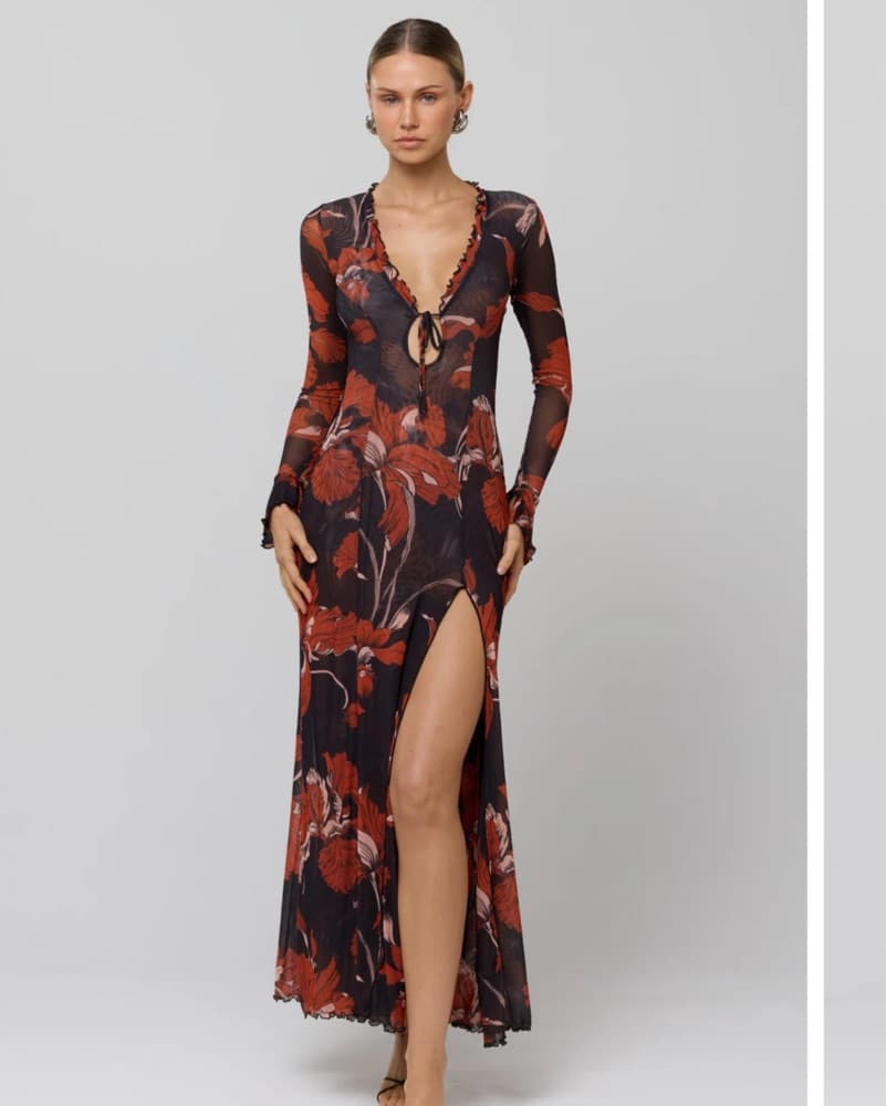 Resa Dress - Image 1