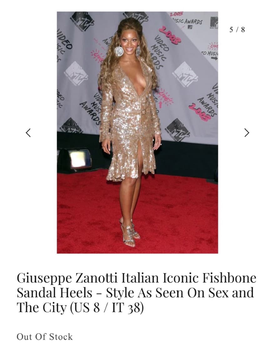 Guiseppe Zanotti Fishbone Heels  - Image 4