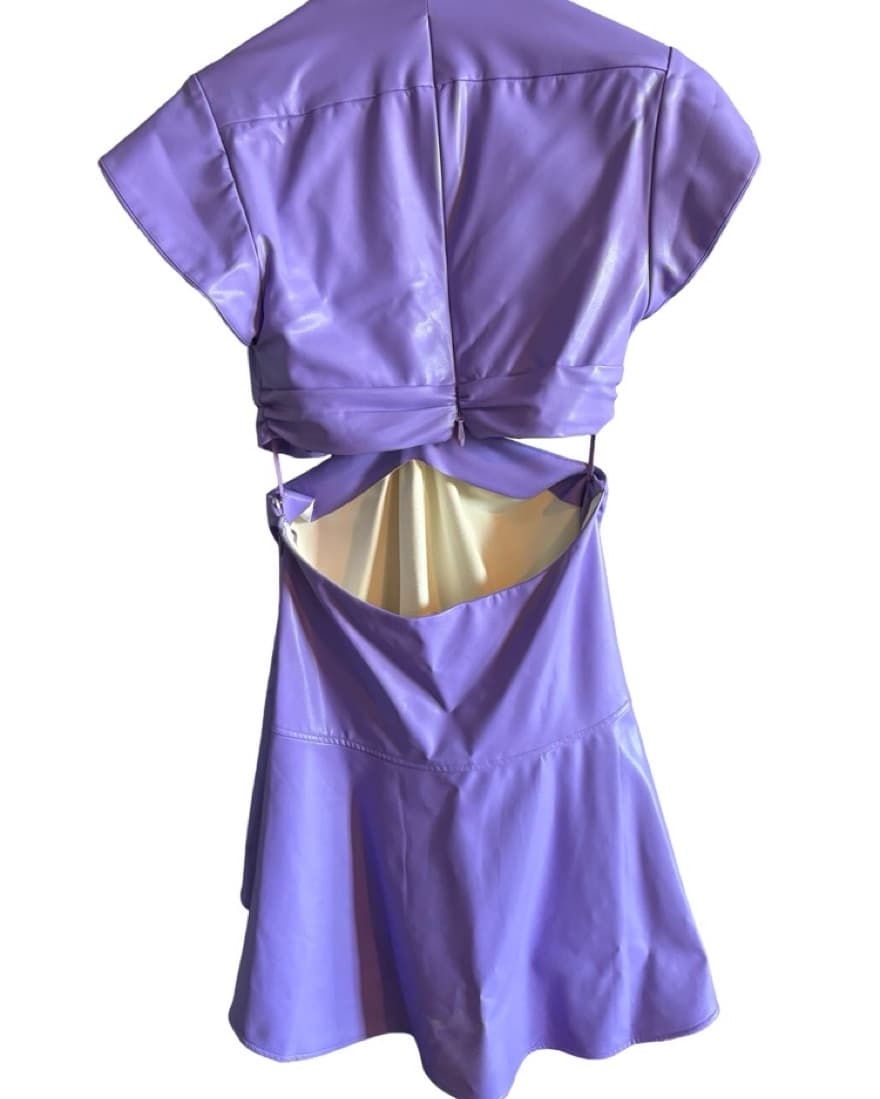 ALC Lexi Coated Cutout Mini Dress - Image 5