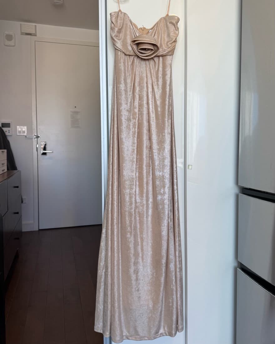 Badgley Mischka Champagne Dress - Image 3